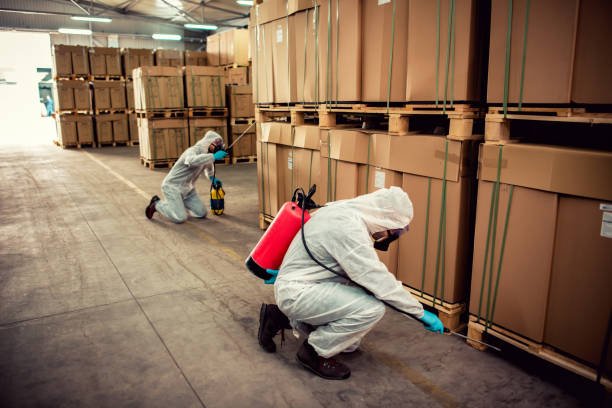 Wasp Removal Services in Dandridge, TN