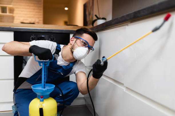 Best Local Pest Control Services  in Dandridge, TN