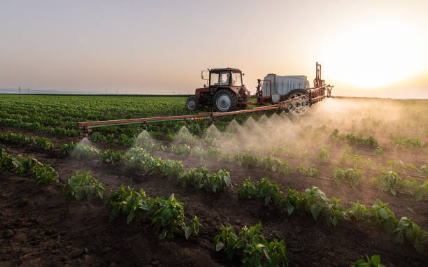 Best Pest Control for Businesses  in Dandridge, TN