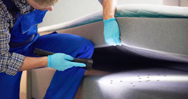 Best Mosquito Control Services  in Dandridge, TN