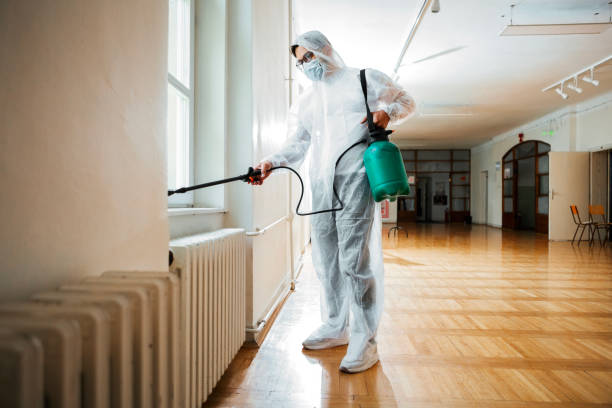 Best Pest Prevention Services  in Dandridge, TN