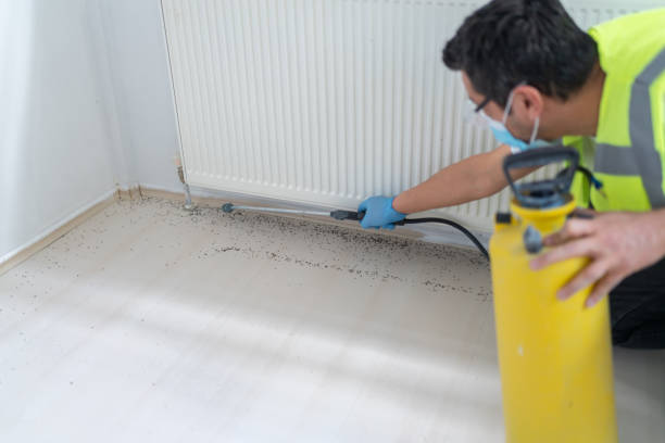 Best Pest Inspection Near Me  in Dandridge, TN